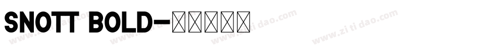 Snott Bold字体转换